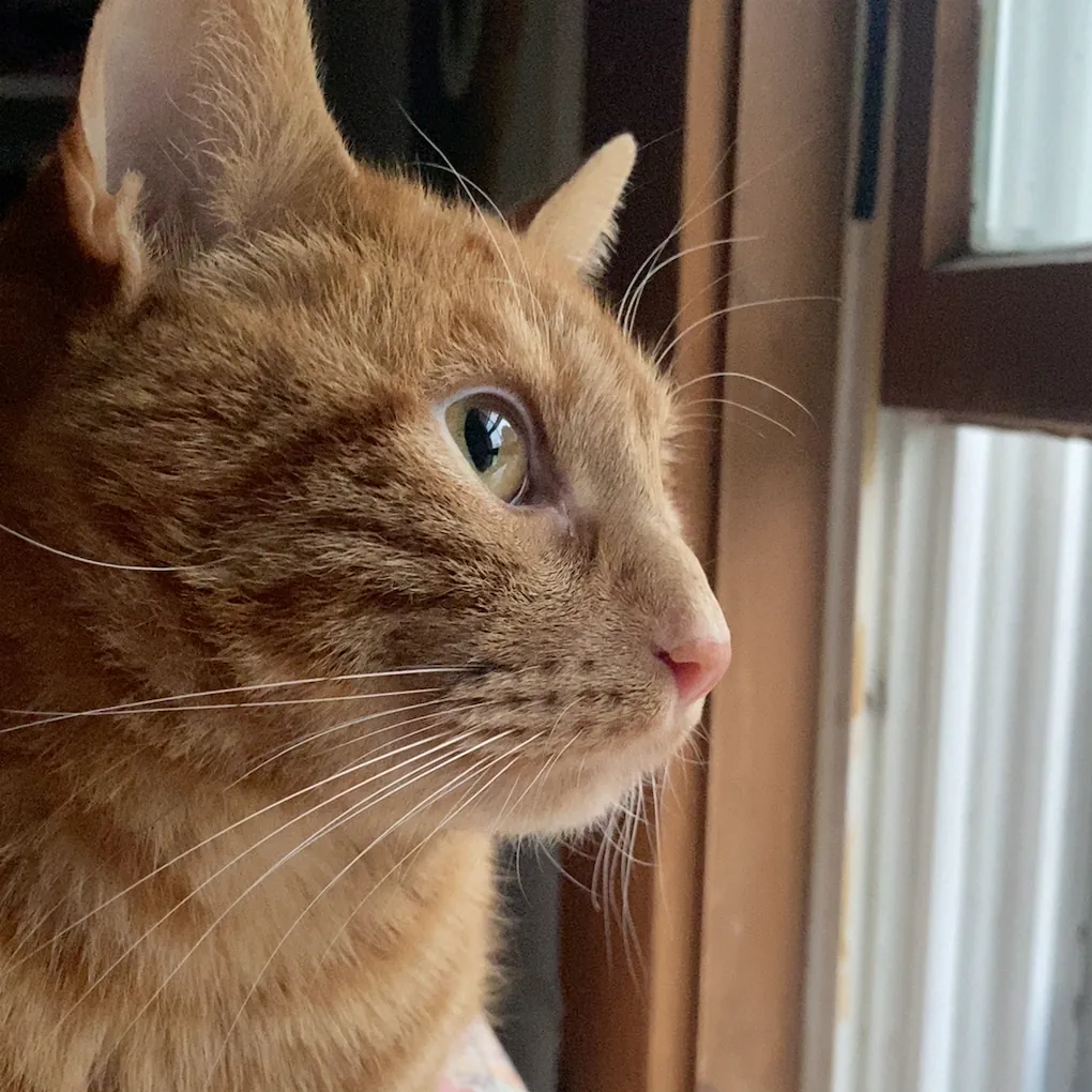 Pasted image 20250809161806.png